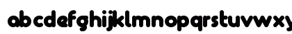 Zelek Bold Preview