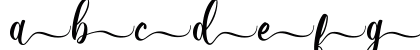 Wonderblend Back Demo Back Lowercase Preview