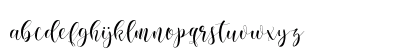 nicole script Regular Lowercase Preview
