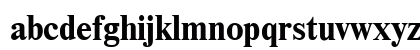 UkrainianTimesET Bold Preview