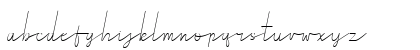 Royal Haster Demo line Regular Lowercase Preview