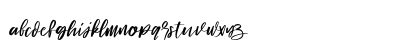 Signature hawk Regular Lowercase Preview
