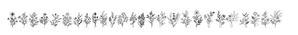Bloem Regular Lowercase Preview