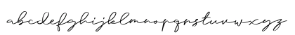 Anjel Script Regular Lowercase Preview