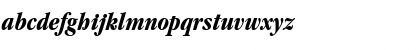 font255 Bold Italic Font