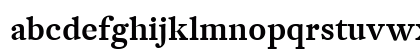 DTLFleischmannT Medium Preview