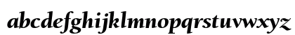 Berkeley Oldstyle Black Italic Preview