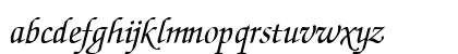 TrSah Zurich Calligraphic Italic Lowercase Preview