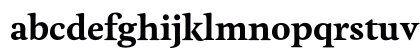 Feijoa Bold Lowercase Preview