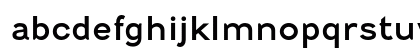 Fenwick Regular Lowercase Preview