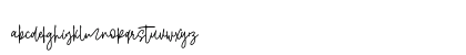 Shallamander Script Lowercase Preview
