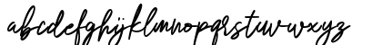 Winlove - Personal Use Regular Lowercase Preview