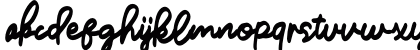 Willstones Regular Lowercase Preview