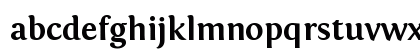 Fontin Bold Lowercase Preview