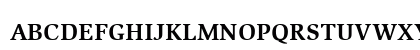 SlimbachMdSCITC Medium Preview