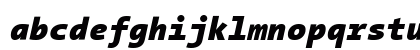 TheSans Mono Black Italic Lowercase Preview