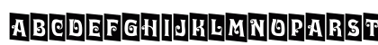 a_LuggerCmDn Regular Preview