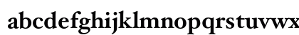 HoeflerText Bold Lowercase Preview