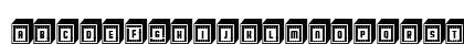 Calf Negative Regular Lowercase Preview