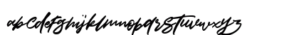 Significent Regular Preview