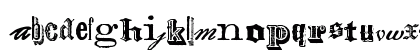 Archive Type Mix I Regular Preview