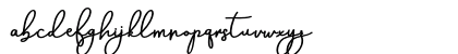 Aneisha Script Bold Regular Preview
