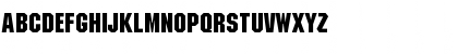 ACaslon AltRegular Italic Preview