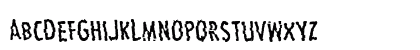 Carbon Regular Preview