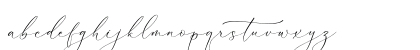 Palmer Corella Regular Lowercase Preview