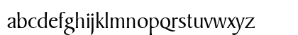 00260 Regular Preview
