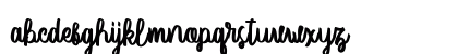 Vector Type Regular Lowercase Preview