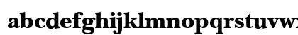 NewBaskervilleSemITC Black Preview