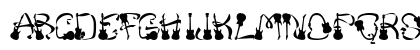Left Hook Regular Preview