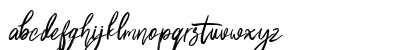 Shutten Reason Free Regular Lowercase Preview