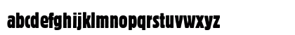 Block D Regular Preview