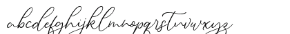 Alternation FREE Regular Lowercase Preview