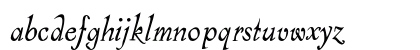 Alcoholica Italic Preview
