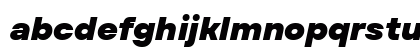 TT Firs Text Trial Black Italic Preview