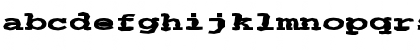 FZ BASIC 54 MANGLED EX Normal Font