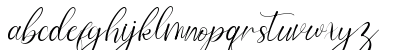 Winston Andrews Regular Lowercase Preview