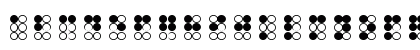 braille bold Regular Preview