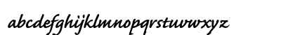 Caflisch Script Pro Bold Preview