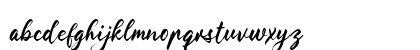 The Florist Handwriting Regular Lowercase Preview