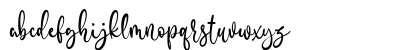 Danilena Regular Lowercase Preview