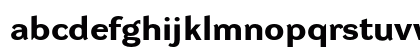 DynaGrotesk RXE Bold Lowercase Preview
