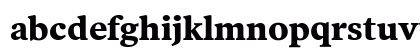 PoynterText Regular Lowercase Preview
