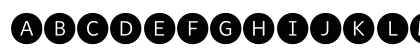 WhitneyIndexBlack RoundLt1 Lowercase Preview