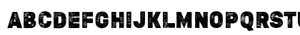 MEDIO VINTAGE ROUGH Regular Lowercase Preview