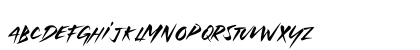 Witness History Regular Lowercase Preview
