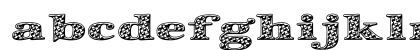 Zapf Int'l 'BubbleWrap' Heavy Lowercase Preview